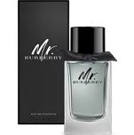 Burberry Mr. Burberry M EDT
