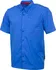 Pánská košile Alpine Pro PLOS 2 modrá
