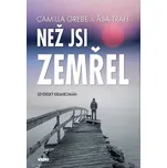 Než jsi zemřel: Severský krimiromán -…