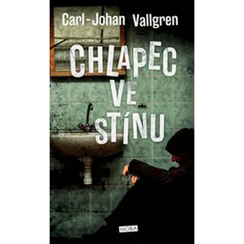 Chlapec ve stínu - Carl-Johan Vallgren