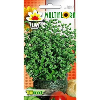 Semeno Semena Majoránka zahradní Origanum majorana 1 g