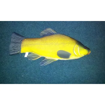 Polštář Gaby Polštář Lín 62cm