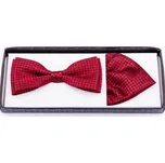 Motýlek s kapesníčkem Assante 90225