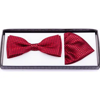 Motýlek Motýlek s kapesníčkem Assante 90225