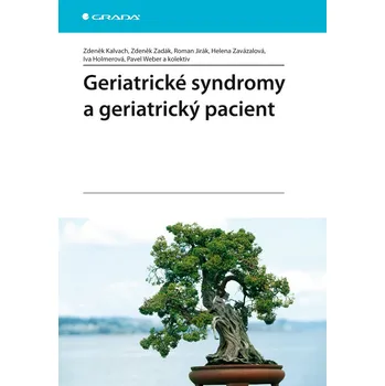 Geriatrické syndromy a geriatrický pacient