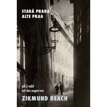 Umění Stará Praha jak ji viděl Zikmund Reach - Vladimír Filip