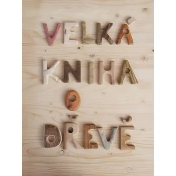 Umění Velká kniha o dřevě - Martin Patřičný