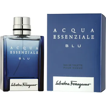 Pánský parfém Recenze Salvatore Ferragamo Acqua Essenziale Blu pour Homme EDT