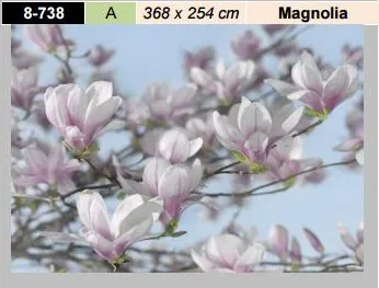 Fototapeta Komar květiny - Magnolia 8-738 | Rozměr 368 x 254 cm