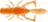 Daiwa Duckfin Bug 5 cm, orange/gold