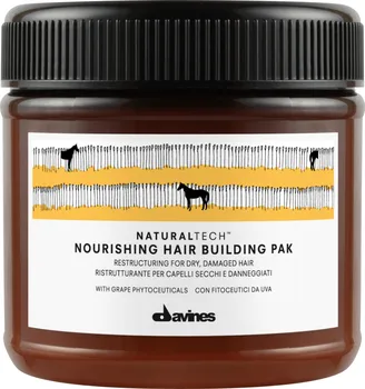 Davines Naturaltech Nourishing Hair Building Pak 250 ml