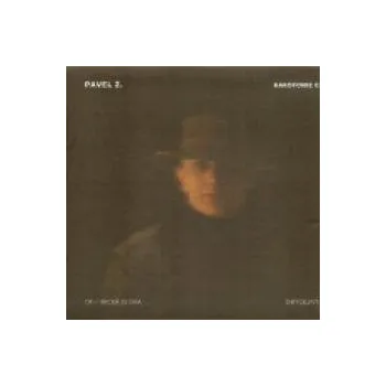 Česká hudba Kakofonie cesty - Zajíček Pavel [CD]