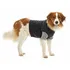 Obleček pro psa Kruuse Body Buster