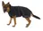 Kruuse Rehab Dog Blanket Softshell, 30 cm
