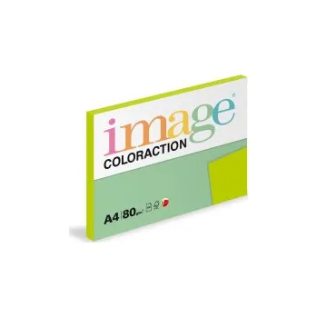 Kancelářský papír Xerografický papír BAREVNÝ - MA42 java / středně zelená / 100 listů