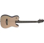 Stagg James Neligan EW3000C Folk