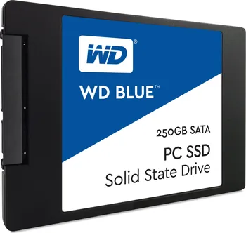 SSD disk Western Digital Blue SSD 250 GB (WDS250G1B0A)