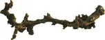 Lucky Reptile Grapevine tmavý 80-110 cm