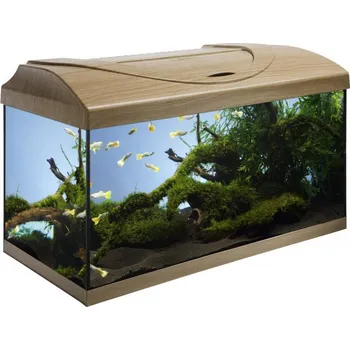 Akvárium Diversa Startup 60 buk