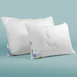 Polštář ALOE VERA 50x70cm ZIP+/670g - vyrobeno v Česku