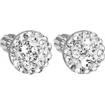 Evolution Group 31136.1