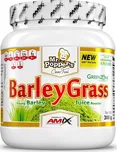 Amix Mr. Popper's BarleyGrass 300 g