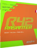 Andro Rasanter R42