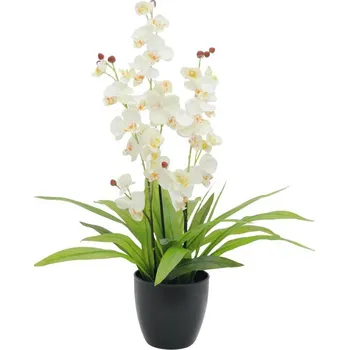 umělá květina EuroPalms Orchidej bílá s listy 80 cm