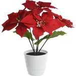 Globo 28024 Orphelia