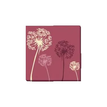 Obraz Obraz PAMPELIŠKA JA 019