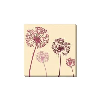 Obraz Obraz PAMPELIŠKA JA 018