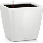 Lechuza Quadro LS 43 cm