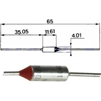 Autopojistky Tepelná pojistka 119C axiál. nevratná 10A/250V CE