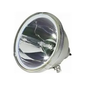 Lampa pro projektor Lampa pro projektor Vivitek H1085FD (5811116206-S) varianta: Originální lampa bez modulu