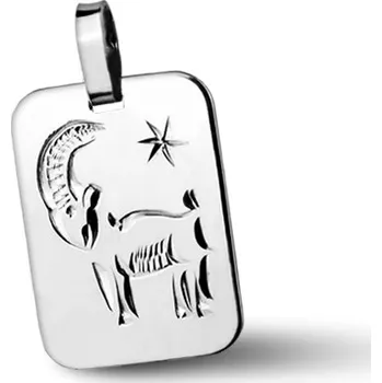 Přívěsek Stříbrný přívěsek - znamení Kozoroh Přívěsek: bez rytiny