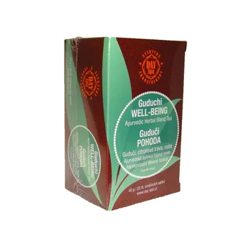 Čaj Day Spa Guduči Pohoda 20 sáčků