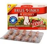 Terezia Company Bruslinky + bylinky…
