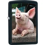 Zippo 26009 Pig Dreaming