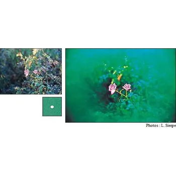 Cokin A065 filtr Center Spot zelený