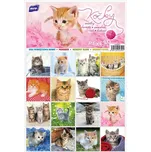 MFP Pexeso 3xA4 Kočky