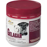 Orling Gelacan Champion černobílý