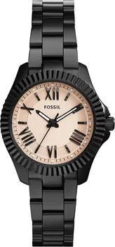 Hodinky Fossil AM4614