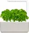 Click and Grow Smart Garden 3 47 cm, béžový