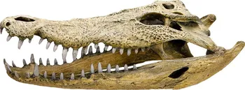 Dekorace do akvária Nobby kostra krokodýl 47,5 x 20,5 x 16 cm