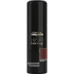 L'Oréal Professionnel Hair Touch Up 75…