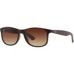 Ray-Ban Andy RB4202