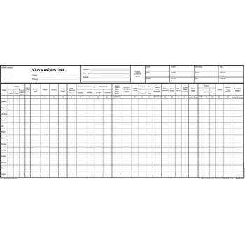 Tiskopis OPTYS 1132 Výplatní listina 42x21 cm