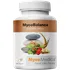 Přírodní produkt MycoMedica MycoBalance 90 cps.