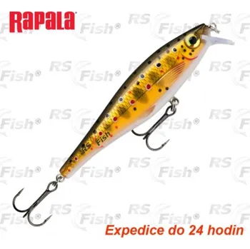 Umělá nástraha Wobler Rapala BX Minnow - barva TR 100 mm - BXM10