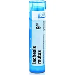 Boiron Lachesis Mutus 9CH 4 g